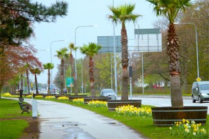 trelleborg